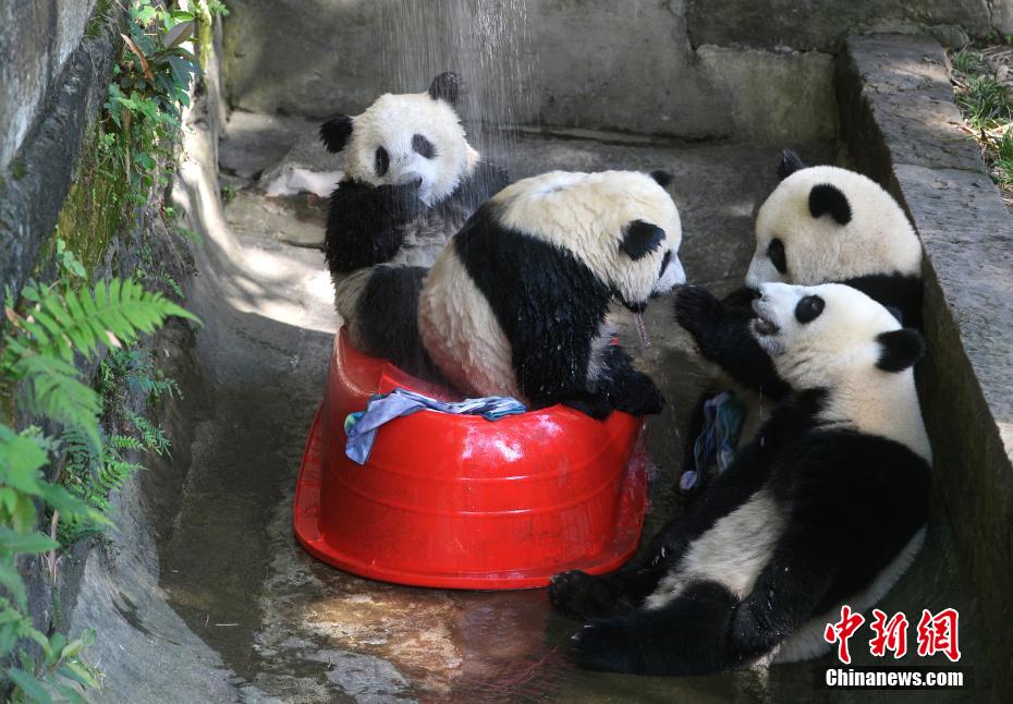欧美三级福利片