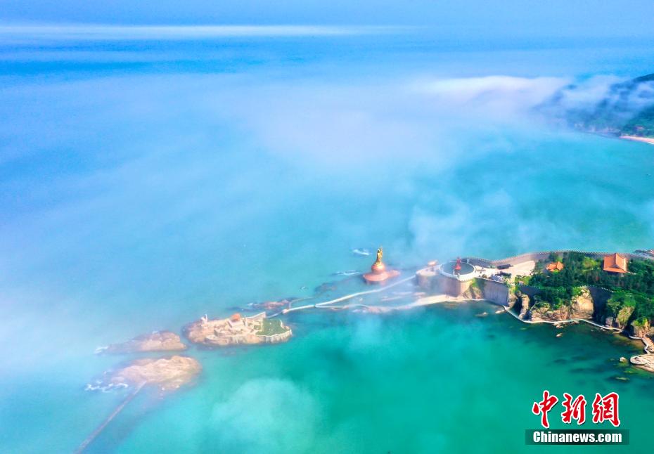 清水理沙