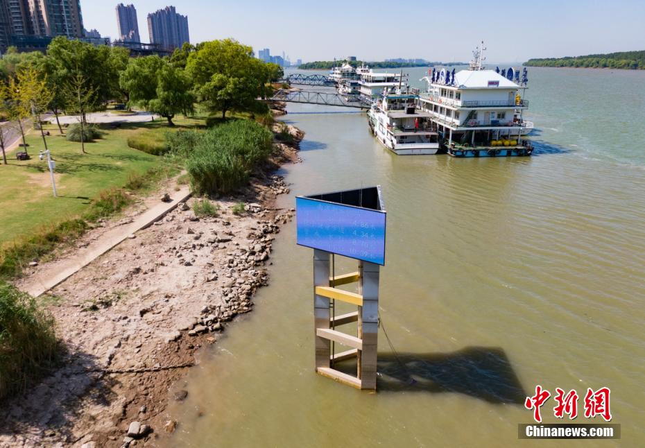 荷兰首发阵容：揭秘欧洲杯球队核心实力