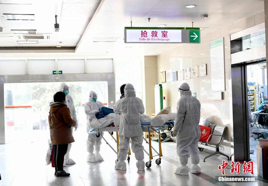 一级黄色大片夫妻生活