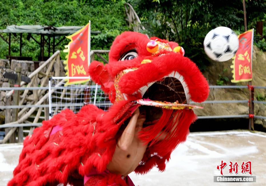 Chinese性老太Hd大全