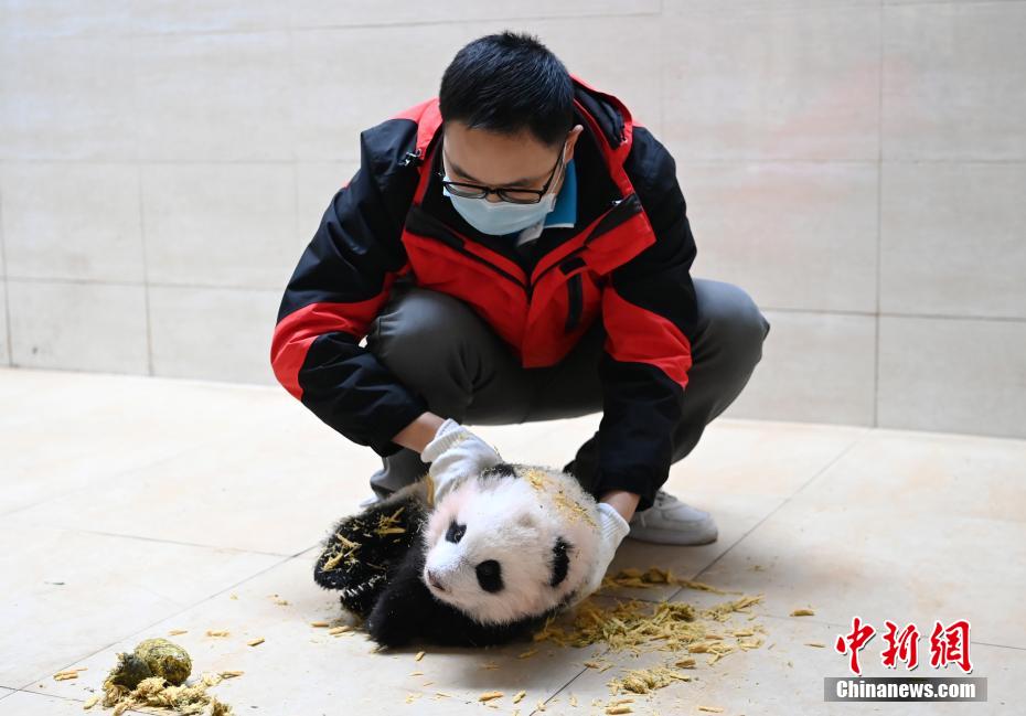精品色妇熟妇丰满人妻50