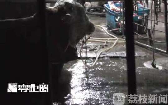 欧美一级黄色片