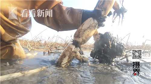 国产91足控脚交在线观看