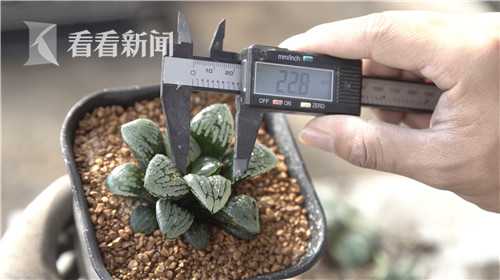久草性爱视频