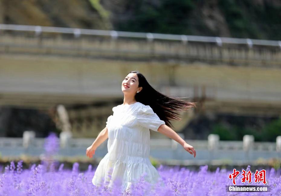 淫荡欧美在线人兽