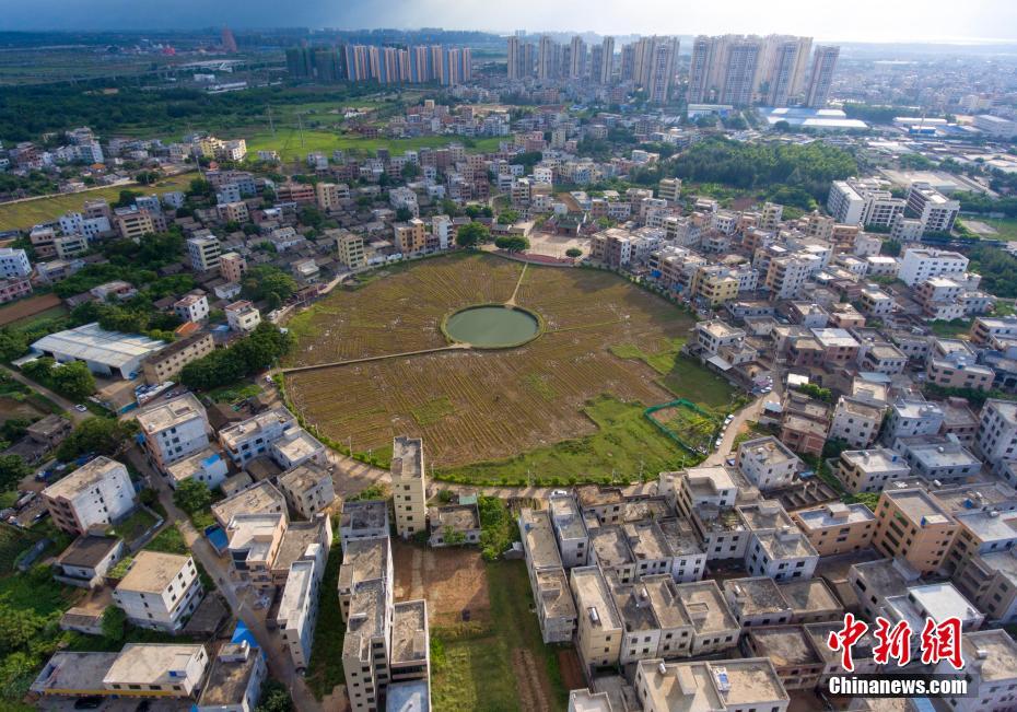 亚洲一级黄色片