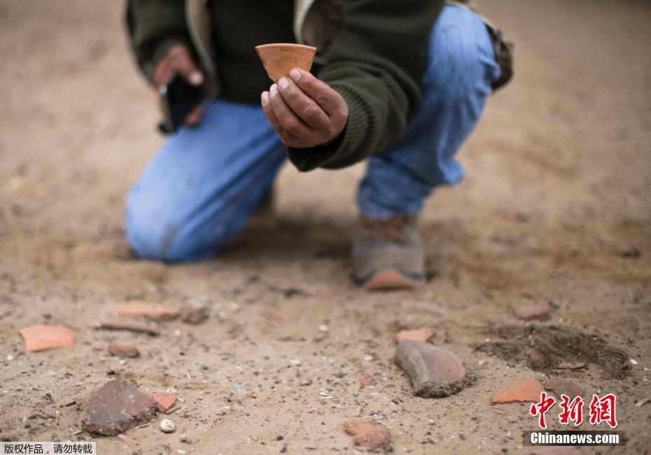 免费黄色高清网址