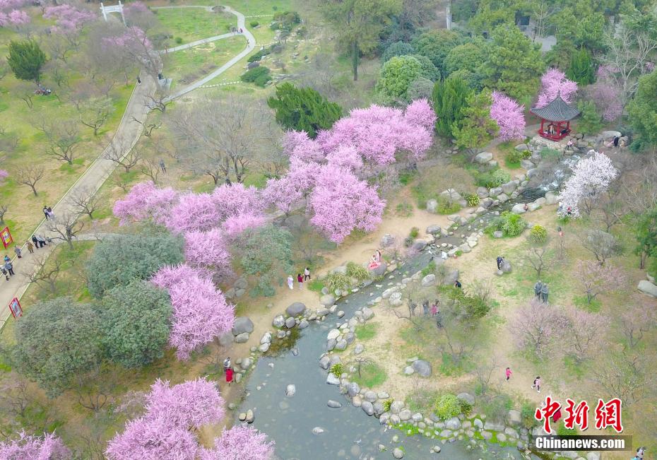 汤姆叔叔的温馨提醒十八岁