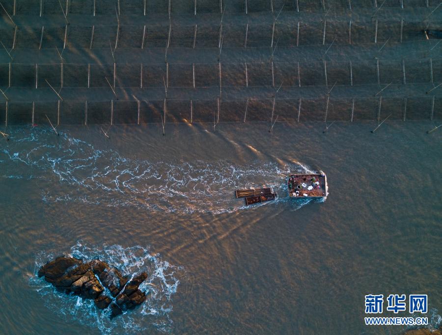 李小璐三级片网站