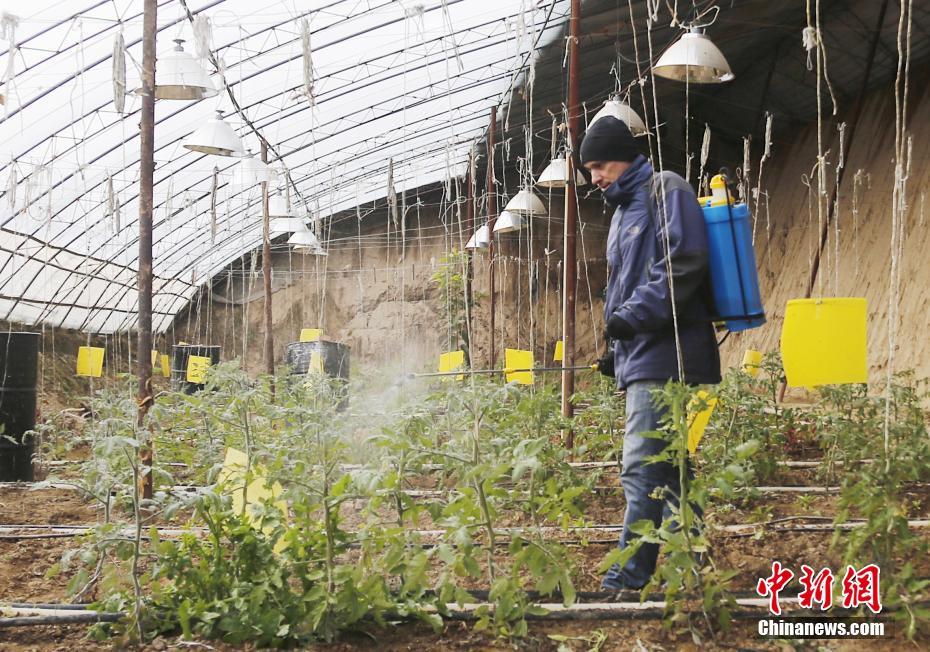 中国女人内谢28Xxxx在线