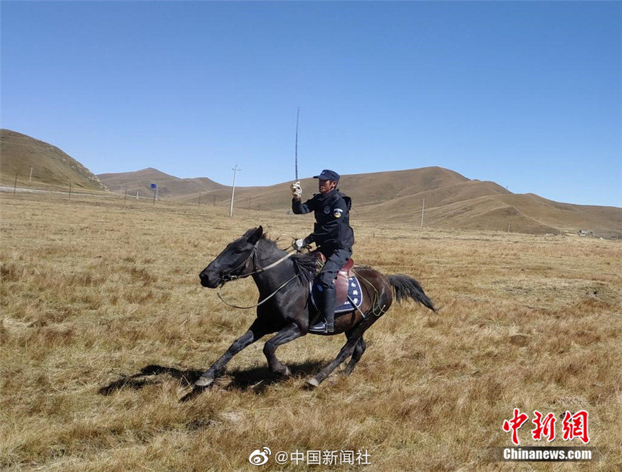 福利电影网