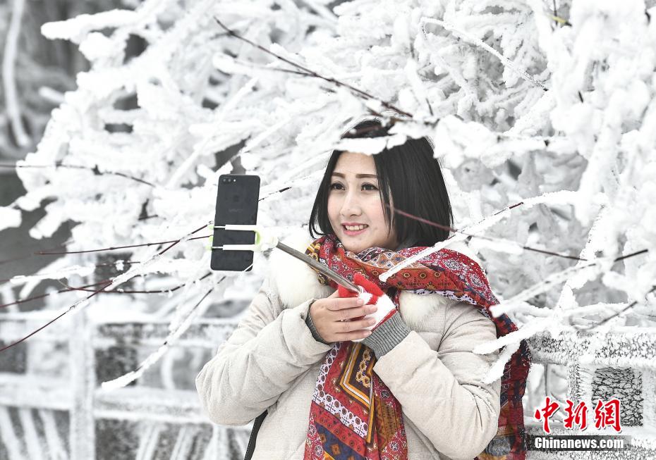 家庭教师波多野结衣