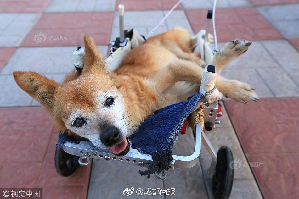 叼嘿网站