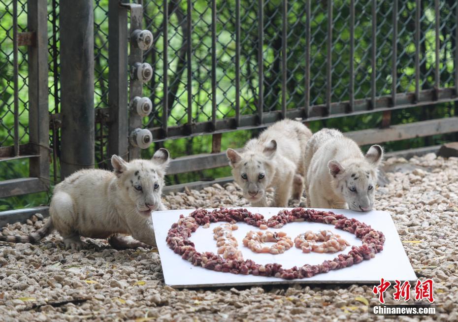 宅福利 你懂的 无圣光