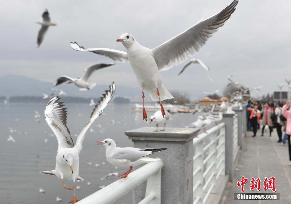 亚洲天堂久久