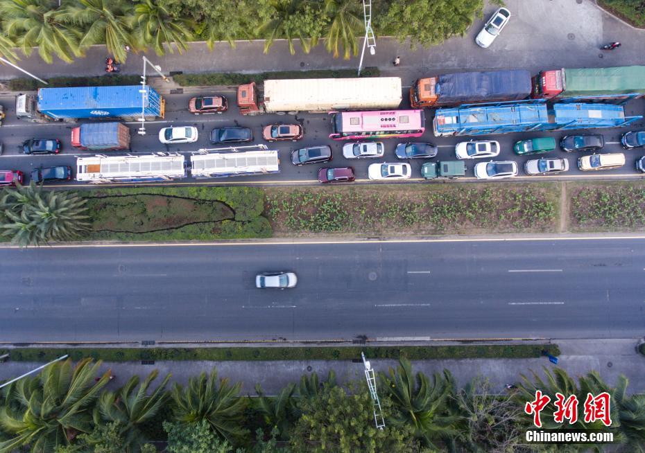 跳蛋自慰