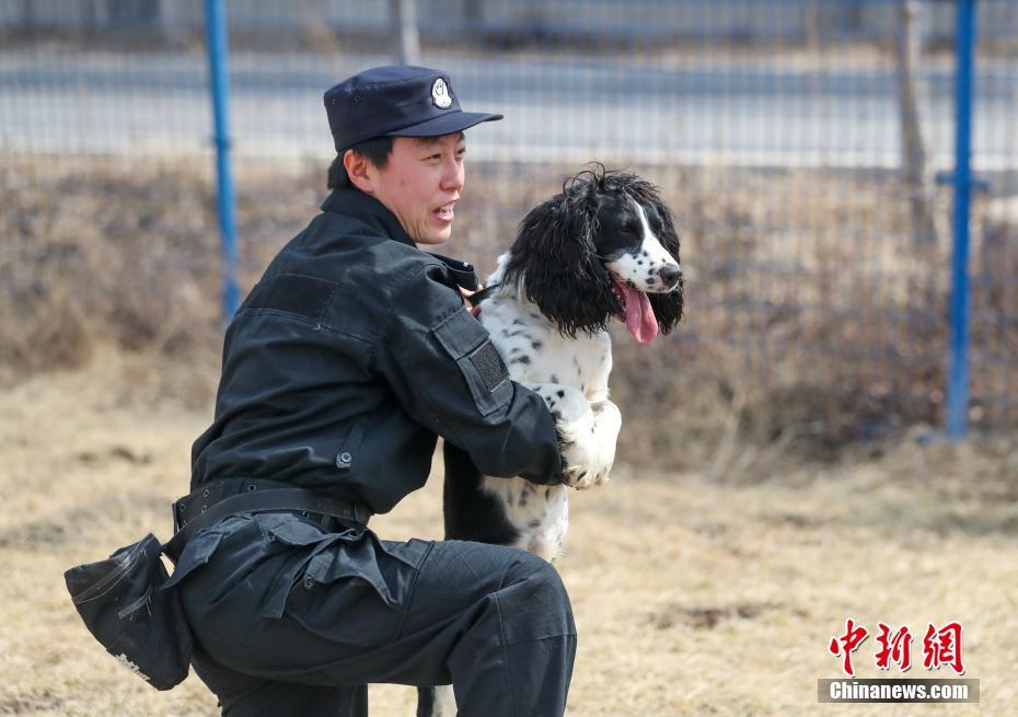 国产一区二三区免费A片惊变