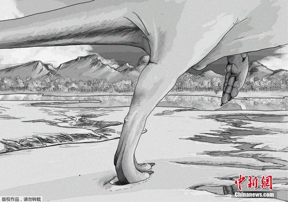 99福利视频