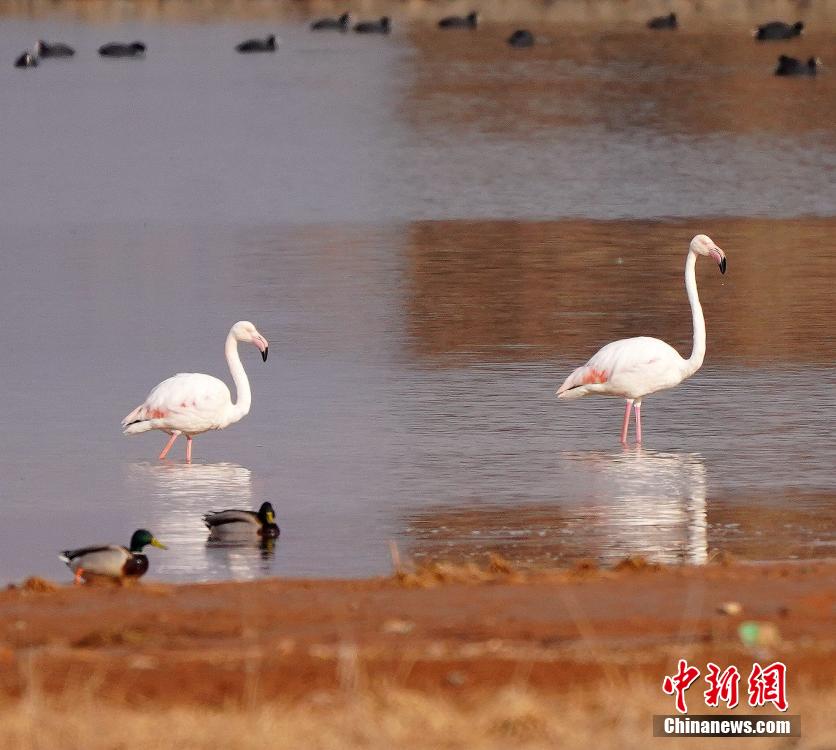 韩国三级Hd浴室激情电影