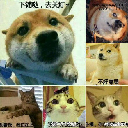 人妻无码