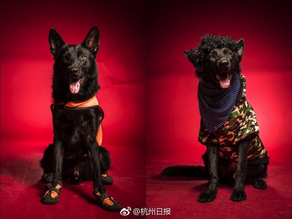 家庭乱伦中国