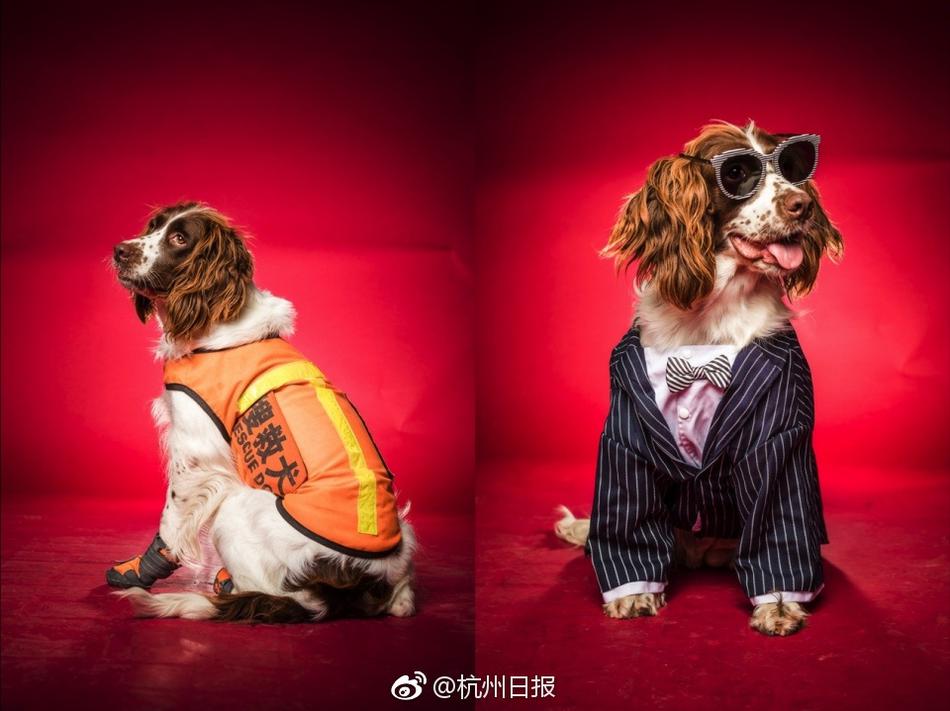 台湾三级片梦