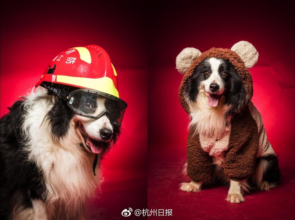 老爷爷同性恋色情影片