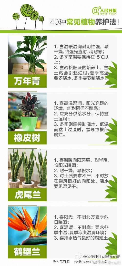 富手麻妙
