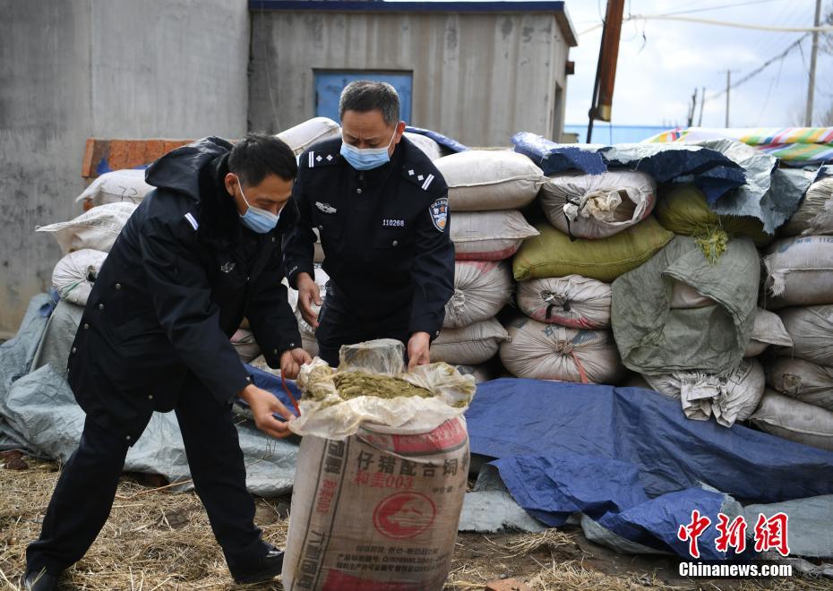 荷兰伦理性爱Hd