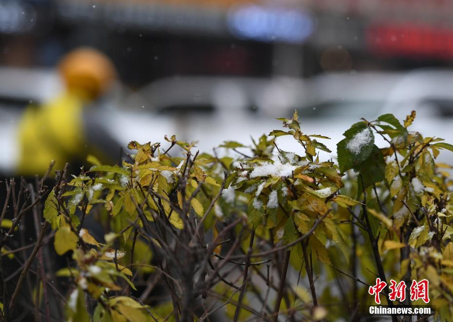 H漫纯肉无遮挡全彩漫
