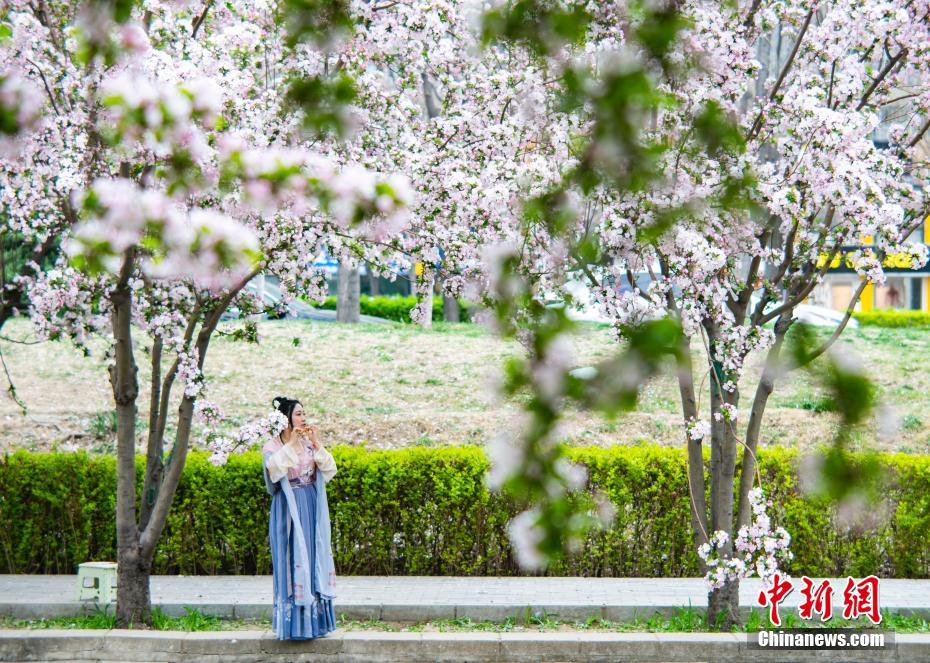 黄色电景中国按摩富婆