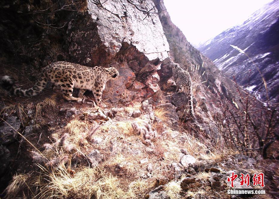 三上悠亚教室高无删减版