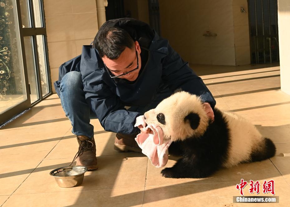 鲁大师在线看免费观看电视剧