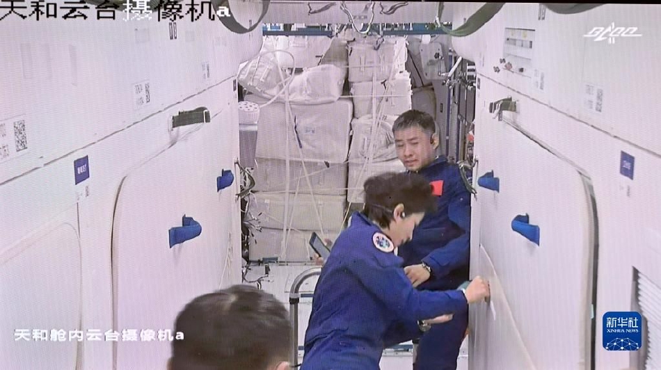 男人的 伸到 里拔萝卜