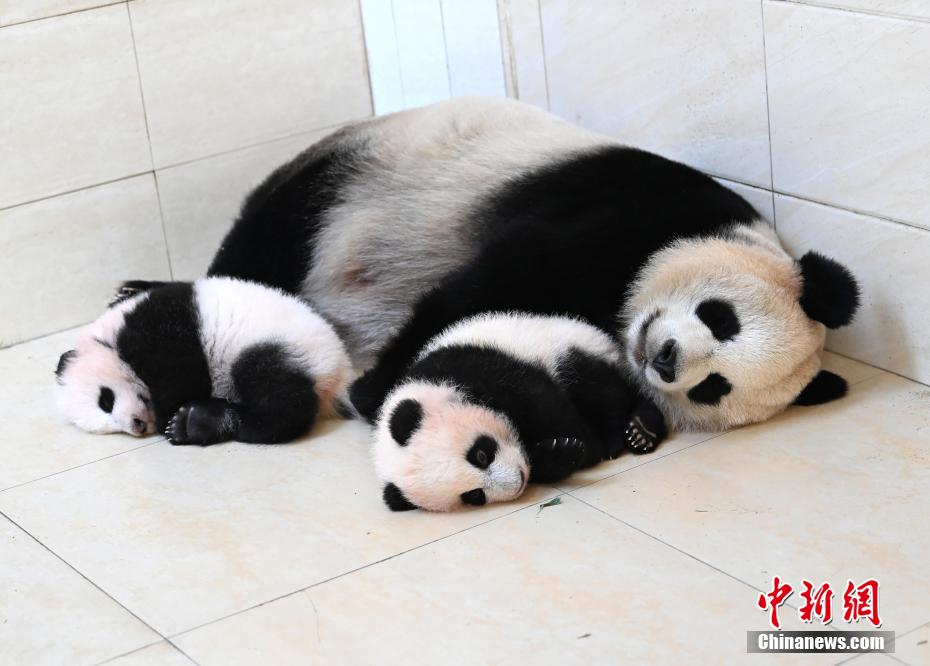 办公室扒开奶罩揉吮奶明星