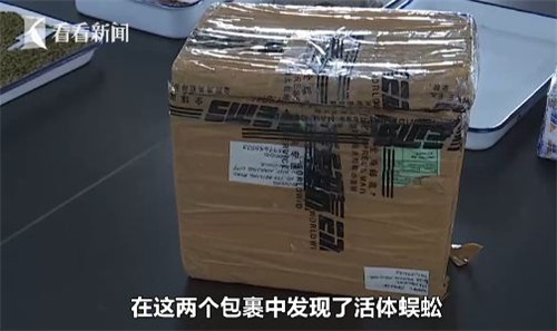 久久精选视频