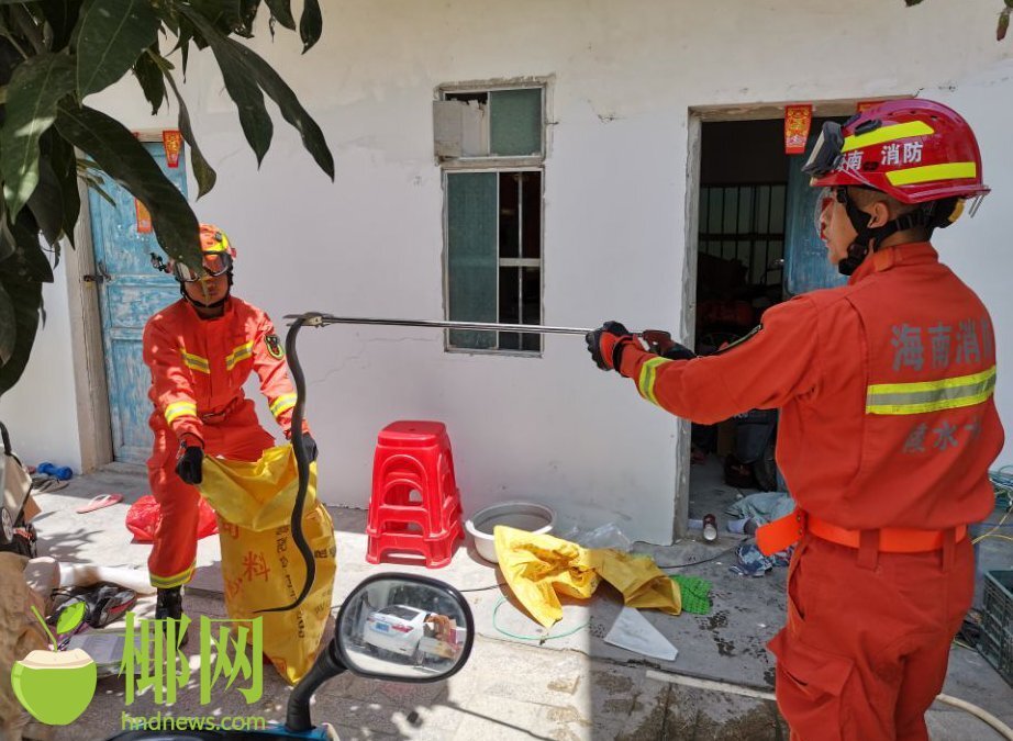 成人亂伦小说