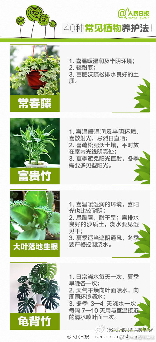 女明星裸體無碼寫真集