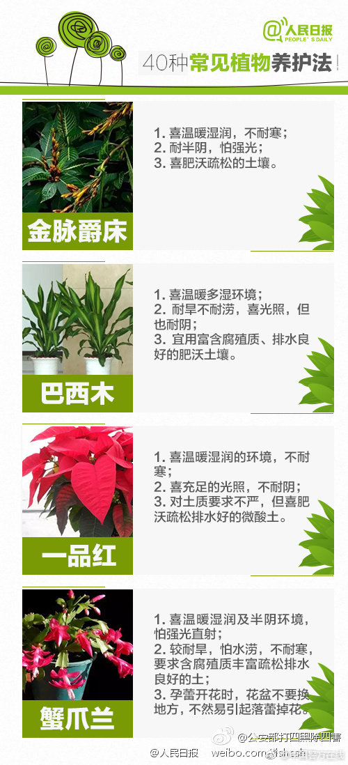 操老熟女逼