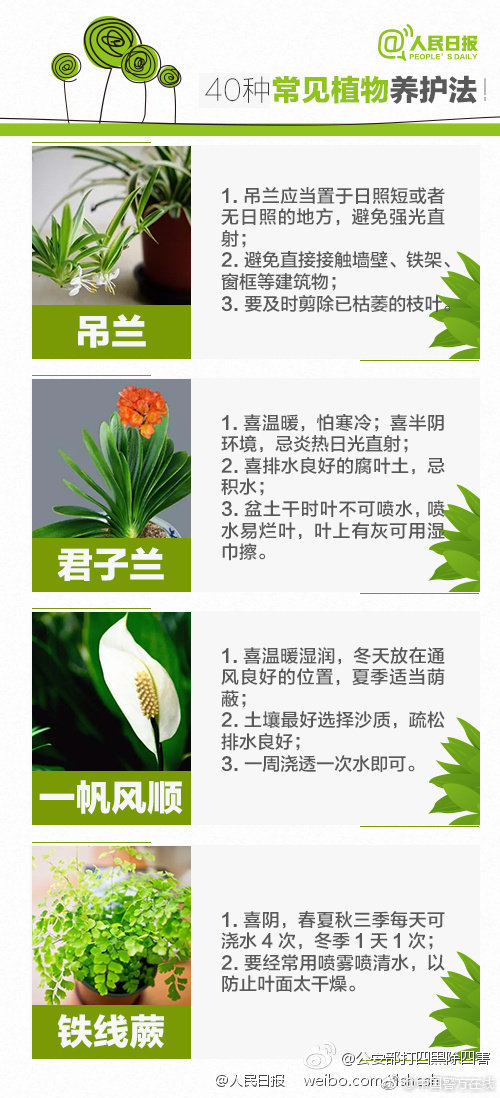 杏吧