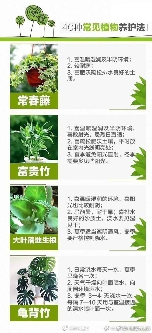老董征战女神戴若曦