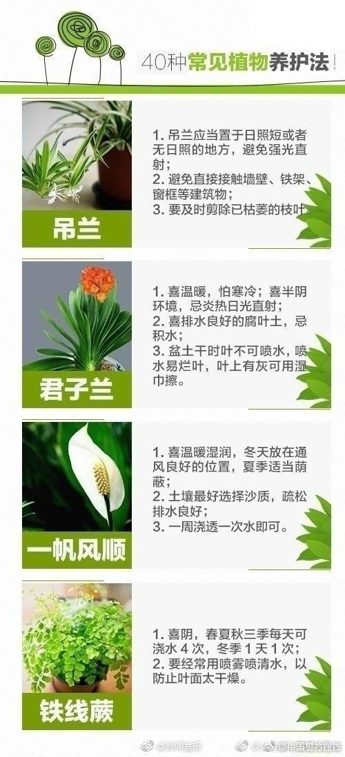 久久噜噜