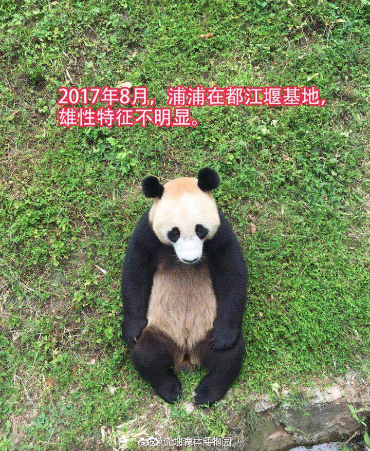 shadowweb血腥网站如何进入