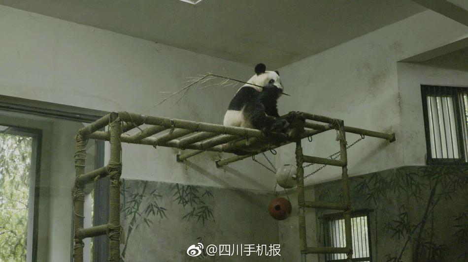 星空无限传媒 官网