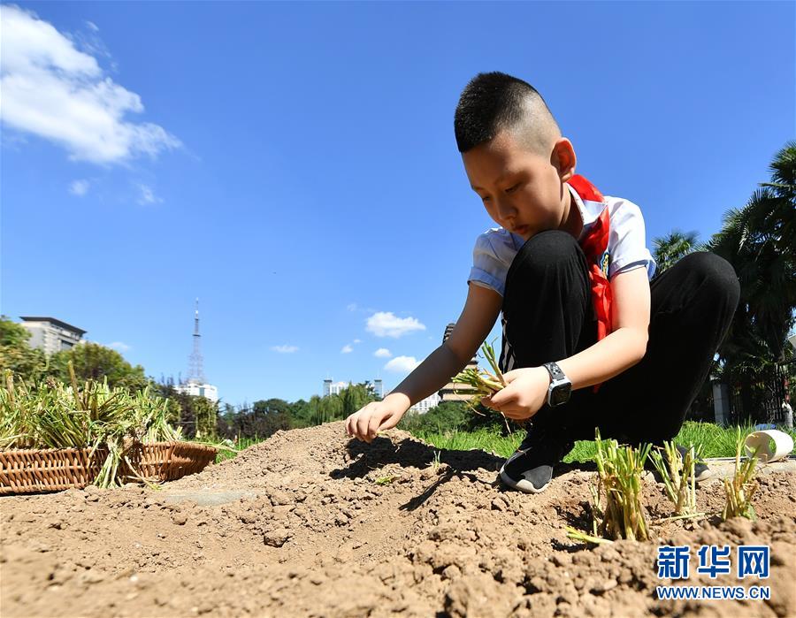 成人黃色三級片做愛