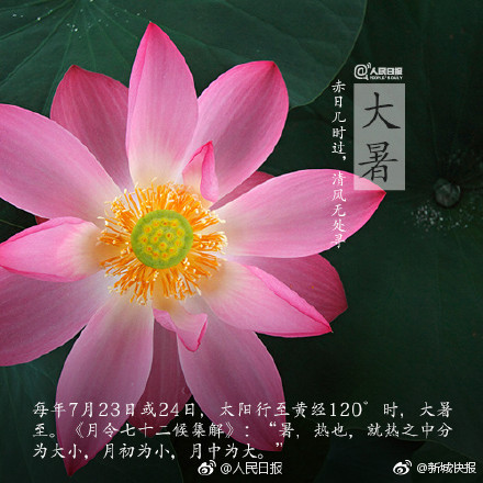 堀北真希