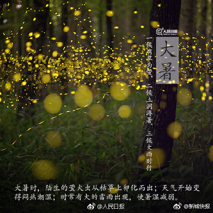 国产丝袜一区