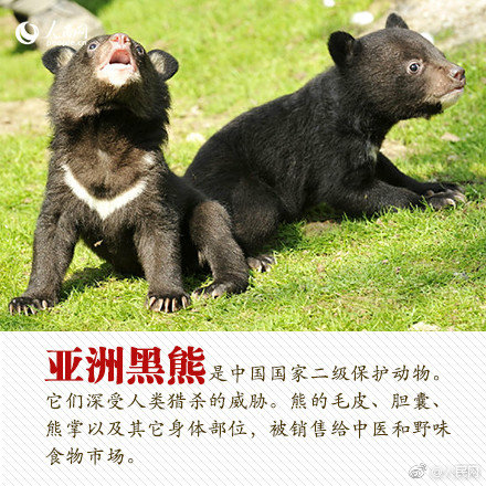欧美自拍偷拍