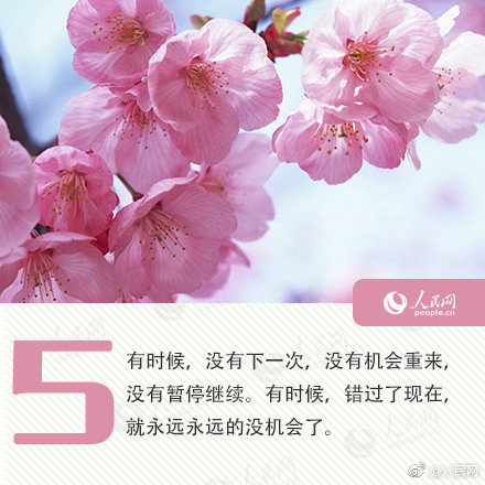 同性女互相自慰无遮挡免费看